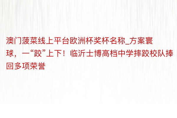 澳门菠菜线上平台欧洲杯奖杯名称_方案寰球，一“跤”上下！临沂士博高档中学摔跤校队捧回多项荣誉